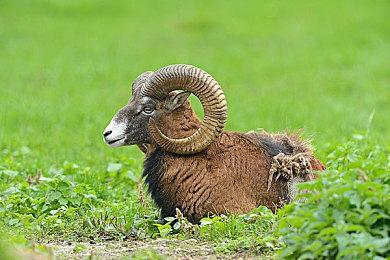 PlayStation公布新宣传片 第一方大作带你体验新世界