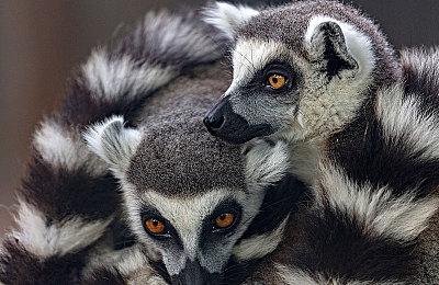 太空冒险《Heavenly Bodies》12月7日发售 体验宇宙之旅