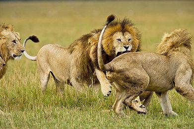 [F5]进取游戏发布会复盘，第三年精彩不断